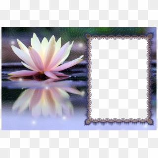 Lotus Transparent Png Photo Frame - Poson Poya Day Wishes In Sinhala Clipart
