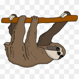 Sloth Tree Sloth Hanging Cute Mammal Cartoon - Sloth Clipart - Png Download