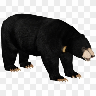 Zt2 Sloth Bear , Png Download Clipart