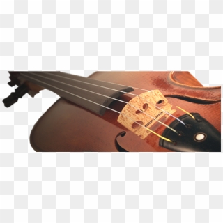 Close - Robert Cauer Violins Clipart