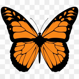 Clip Art Library Stock Butterfly Big Image Png - Monarch Butterfly Print Out Transparent Png