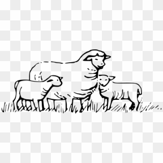 Sheep In Field Icons Png - Herd Of Sheep Clipart Transparent Png
