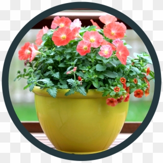 Point Of Purchase - Flowerpot Clipart