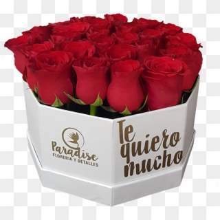 Caja De Rosa Roja C-19 - Garden Roses Clipart