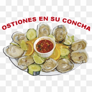Bienvenidos A Los Lagos Mariscos - Tiostrea Chilensis Clipart