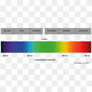 Espectro Luz Visível - Spectre D Absorption De La Lumière Clipart