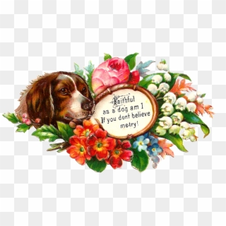 May Flowers Cliparts - Basset Hound - Png Download