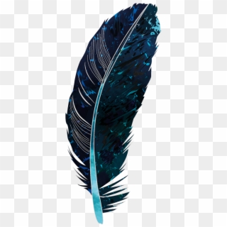 Feather,structure - Plumas Azules Con Fondo Negro Clipart
