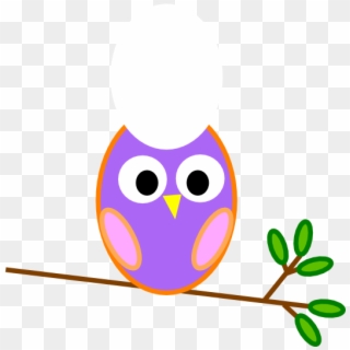 Cooking Clipart Owl - Pink And Blue Owl - Png Download