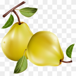 Fruit - Pears Clipart Png Transparent Png