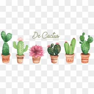 Tienda Online De Artículos De Cactus - San Pedro Cactus Clipart