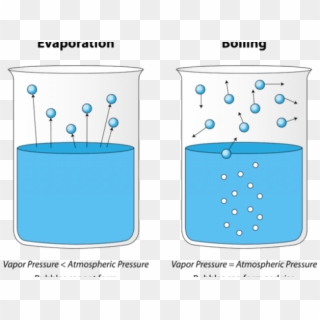 Bubble Clipart Water Vapour - Surface Evaporation - Png Download
