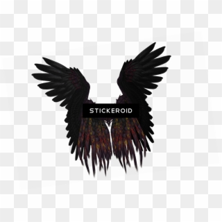 Black Wings Png Clipart