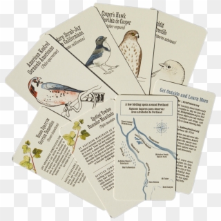 Diagram Clipart