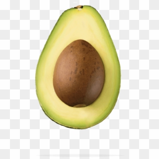 Think Avocados - Avocado Clipart