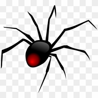 Dibujo Araña Png - Red Back Spider Clipart Transparent Png