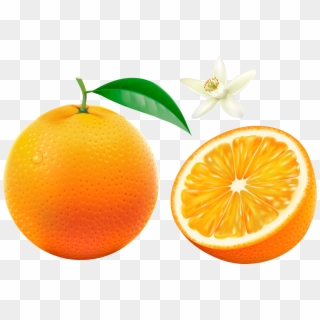 Фотки Orange Bowl, Orange Fruit, Fruits And Vegetables, - Comida Laranja Clipart