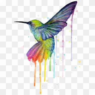#hummingbird #bird #rainbow #watercolor #rainbowhummingbirf - Hummingbird Of Watercolor Rainbow Clipart
