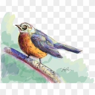Transparent Clipart - Png Download