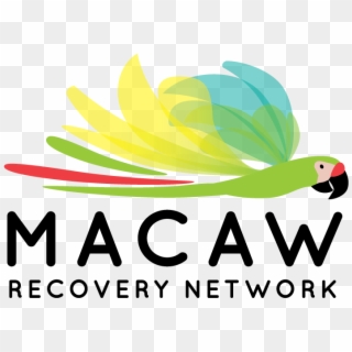 For Further Communications And Information About Macaw - Eac Network Clipart