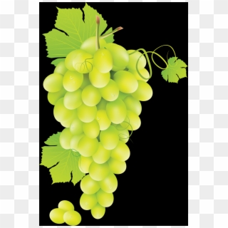 Grape Green Png Clipart