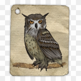 Owl Painting Watercolor Animal Tag 1485637 - Lukisan Hewan Burung Hantu Clipart