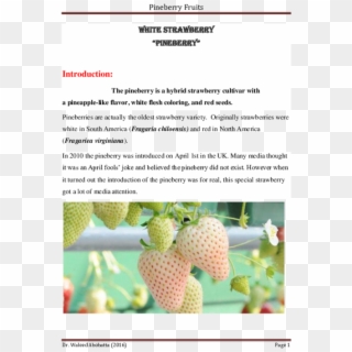 Pdf - White Strawberry Clipart