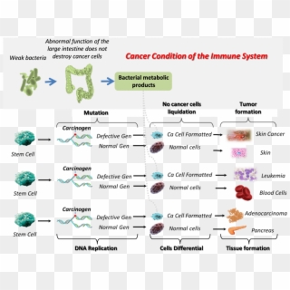 This Phenomenon Is Called The Oncopolitical Activity - Abnormal Immune Cancer Clipart