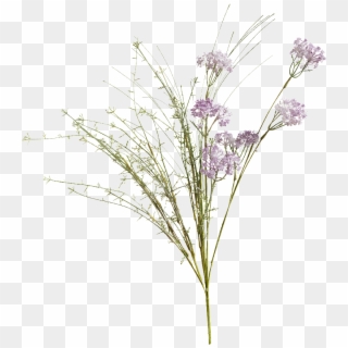 Meadow Flowers Png Clipart