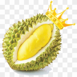 Cuisine Snack Food Zibethinus Durio Fruit Thai Clipart - Durian With Crown - Png Download