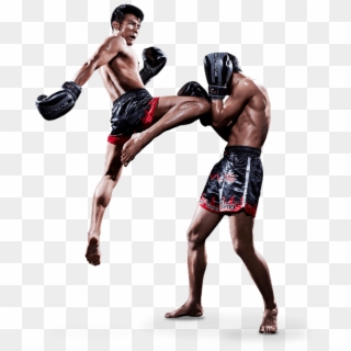 Muay Thai Training Program - Muay Thai Clipart