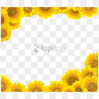 Free Png Sunflower Frame Png Png Image With Transparent - Sunflower Border Design Clipart