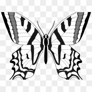 Black And White Butterfly - Insects And Bugs Clipart Free - Png Download