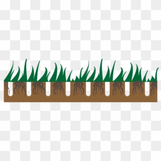 Lawn Aeration - Grass Clipart
