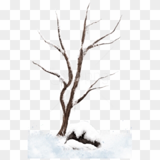 Free Png Download Brown Winter Snowy Treepicture Png - Winter Tree In Png Clipart