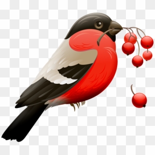 Các Loại Động Vât Clipart