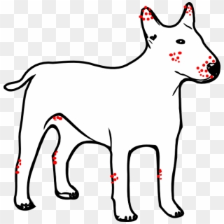 How To Set Use Dog With Red Dots Marked As Mites Svg - Outline Of A Dog Clipart