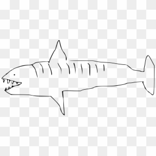 Tiger Shark , Png Download - Tiger Shark Line Drawing Clipart