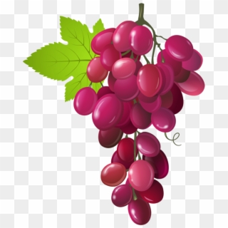Grapes Clipart Fruit Vegetable - Benefits Of Grapes - Png Download