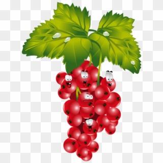 Grape Clipart Emoji - Rote Johannisbeere Transparent Clipart - Png Download