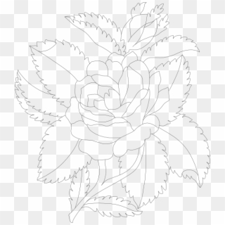 And Here Is The Same Image As The Last But Just The - Hybrid Tea Rose Clipart