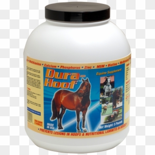 Horse Hoof Health Dura Hoof Supplement Interfarma Animal - Sorrel Clipart