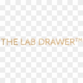 The Lab Drawer Wood Logo Clipart