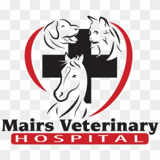 Mairs Veterinary Hospital - Stallion Clipart