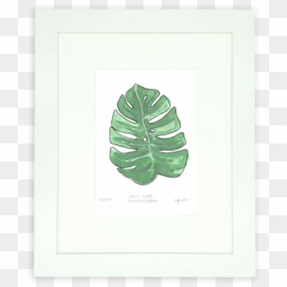 The Split Leaf Philodendron Is Such A Beautiful Tropical - Floral Design Clipart