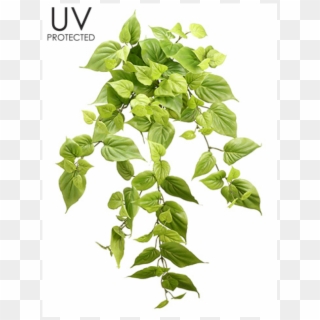 22" Uv Protected Philodendron Bush X10 Light Green - Tree Clipart