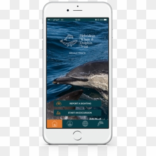 Download Our Free App - Humpback Whale Clipart