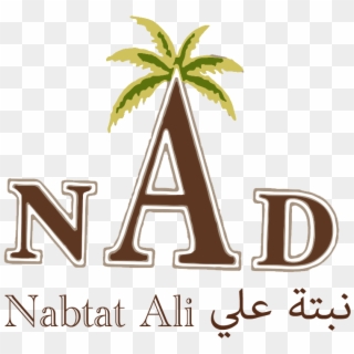 Nabtat Ali Dates - Graphic Design Clipart