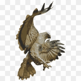 Red-tailed Hawk Falcon Bird Swainson's Hawk - Hawk Pouncing Clipart