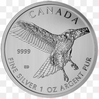 Picture Of 2015 1 Oz Canadian Silver Maple Leaf Red-tail - Canadian Birds Of Prey Coins Clipart